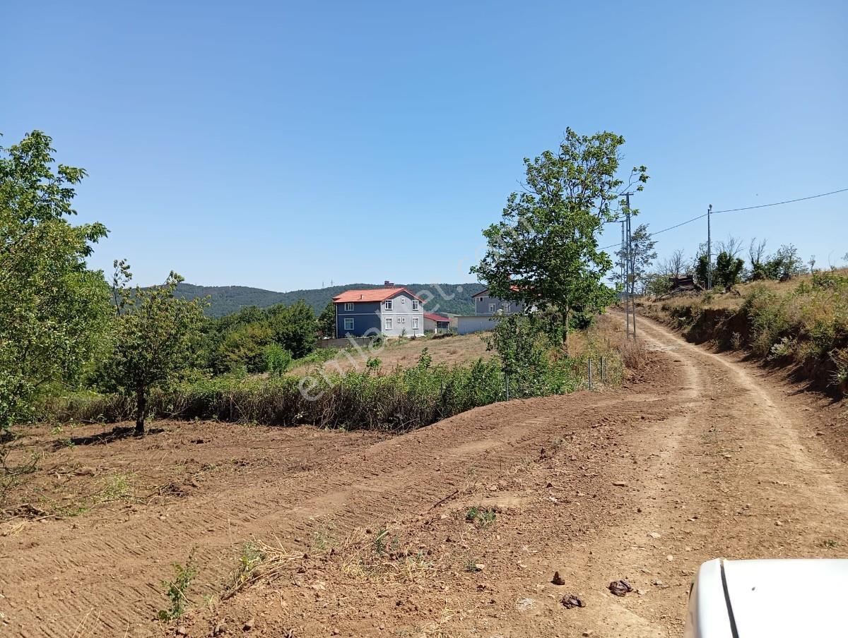 Sakarya Geyve Akıncı Mah.yola Cepheli Müstakil Parsel - Görsel 6