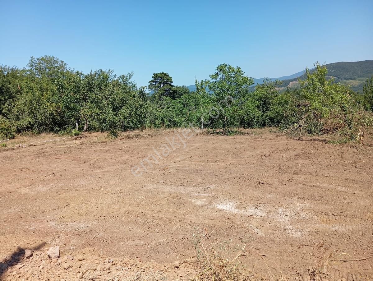 Sakarya Geyve Akıncı Mah.yola Cepheli Müstakil Parsel - Görsel 3