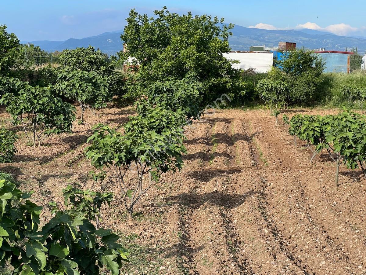 Sakarya Pamukova Gökgözde Hertürlü Ticari Faaliyete Uygun Arsa - Görsel 14