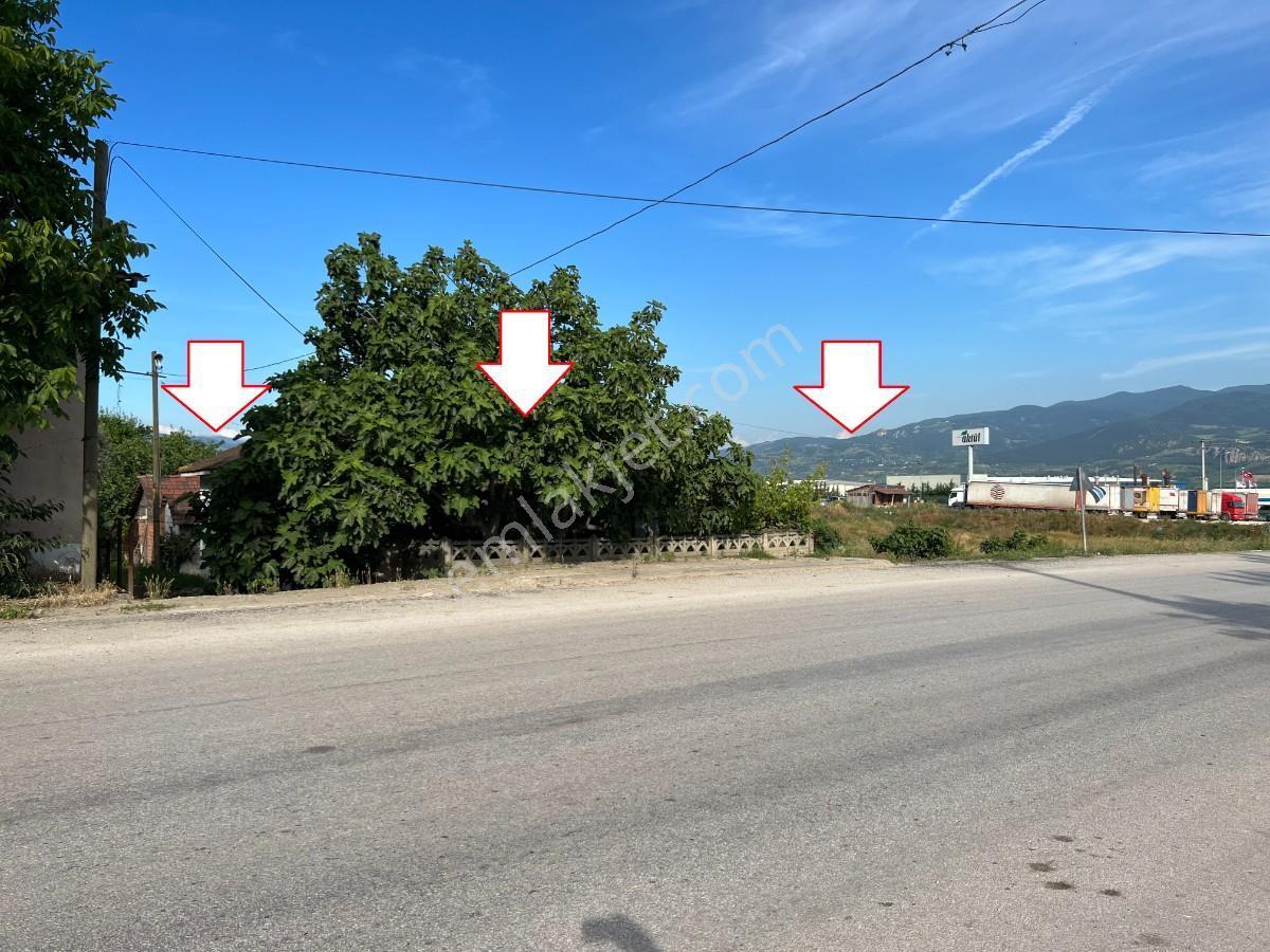 Sakarya Pamukova Gökgözde Hertürlü Ticari Faaliyete Uygun Arsa - Görsel 8
