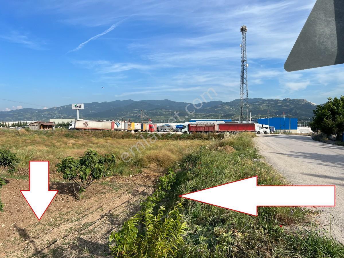 Sakarya Pamukova Gökgözde Hertürlü Ticari Faaliyete Uygun Arsa - Görsel 6