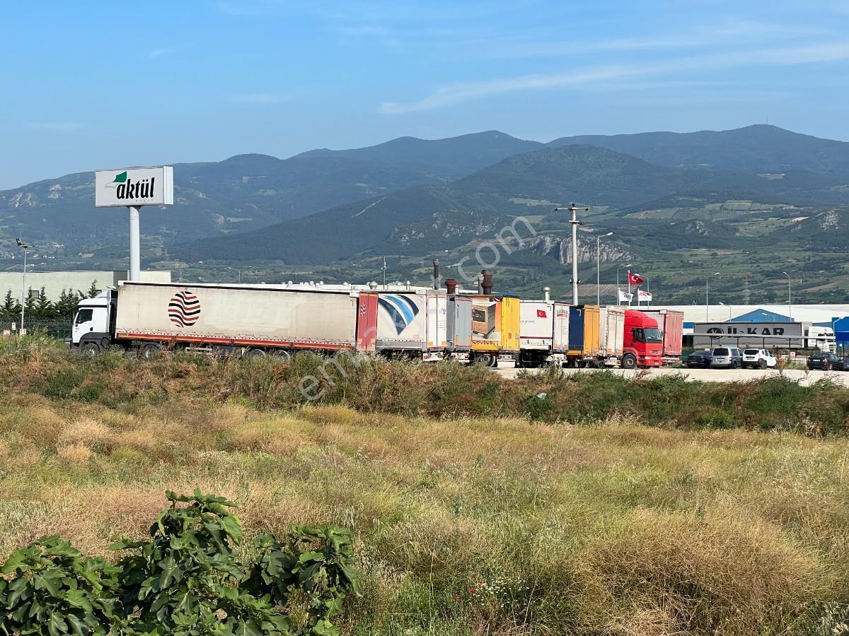 Sakarya Pamukova Gökgözde Hertürlü Ticari Faaliyete Uygun Arsa - Görsel 15
