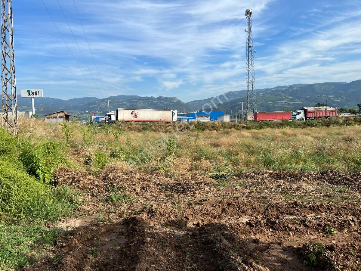 Sakarya Pamukova Gökgözde Hertürlü Ticari Faaliyete Uygun Arsa - Görsel 22