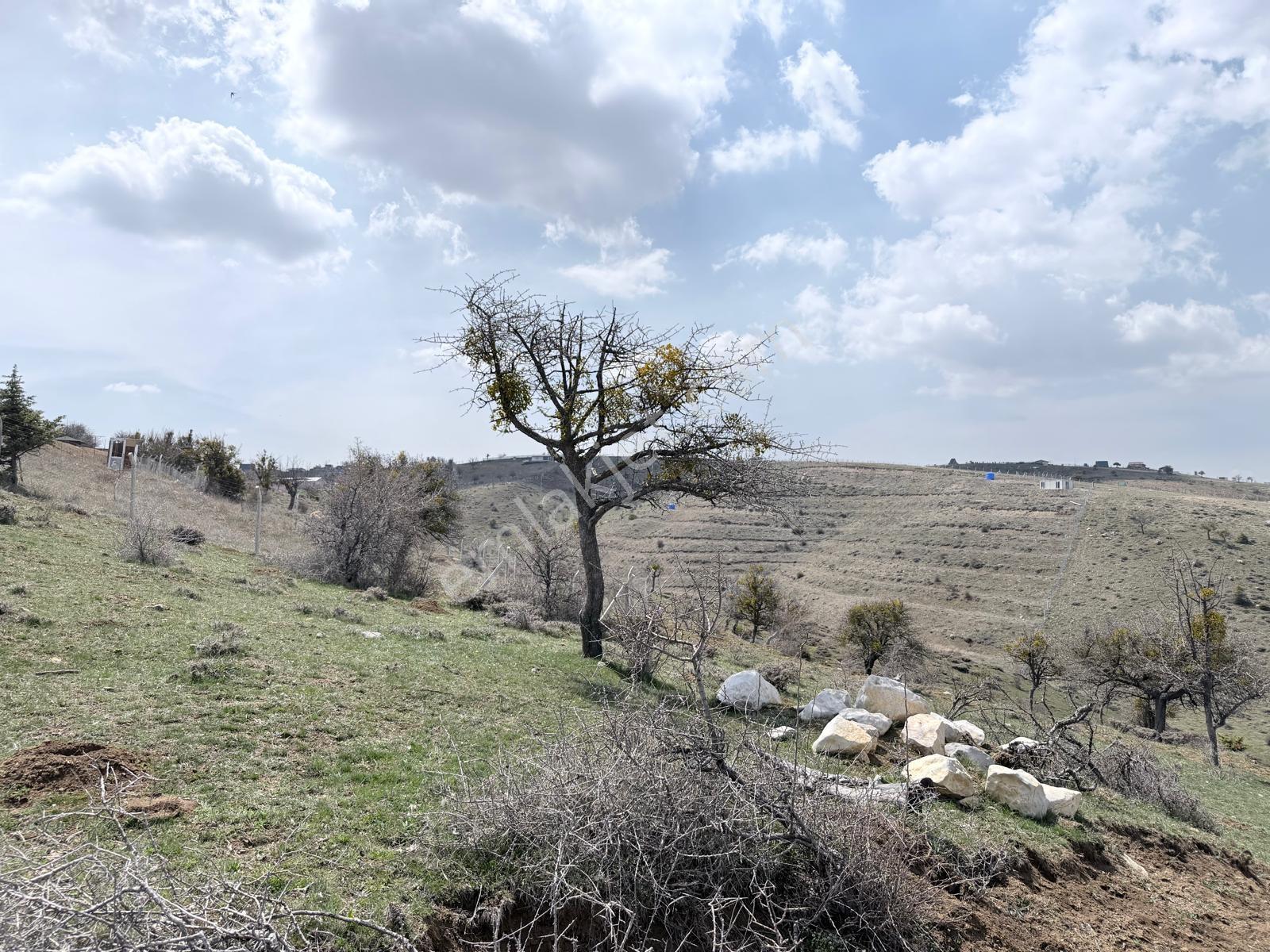 Ankara Pursaklar Abadan Satlık Arsa - Görsel 8