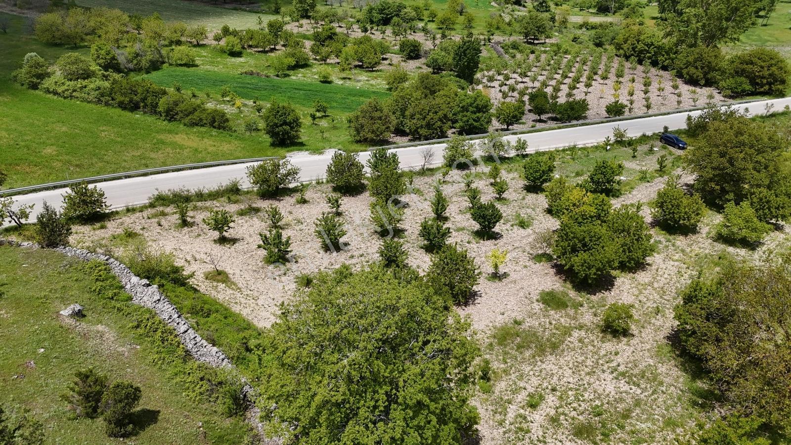 Kıranışıklarda Asfalt Yola Cephe Kiraz Bahçesi - Görsel 18