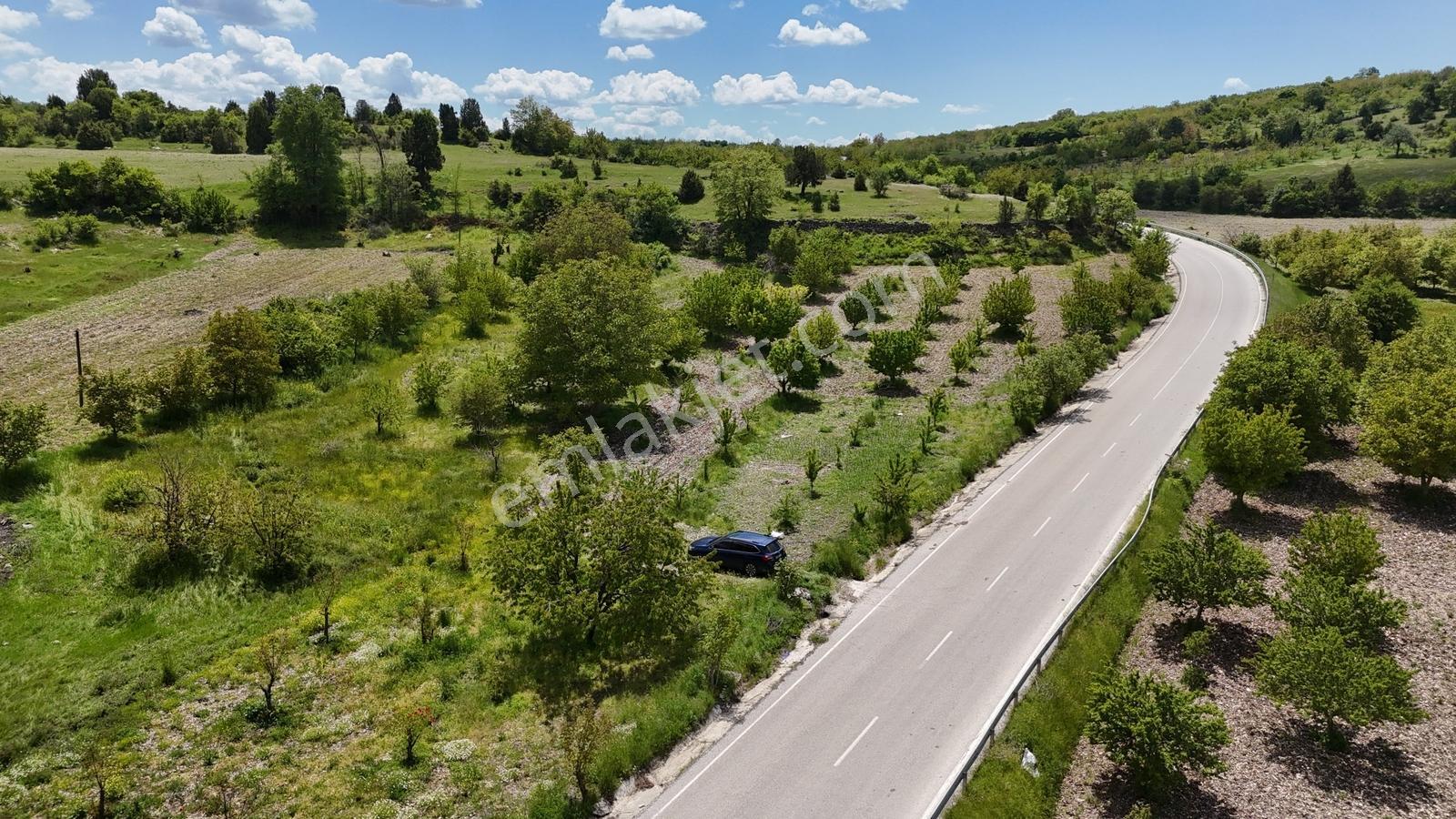Kıranışıklarda Asfalt Yola Cephe Kiraz Bahçesi - Görsel 25