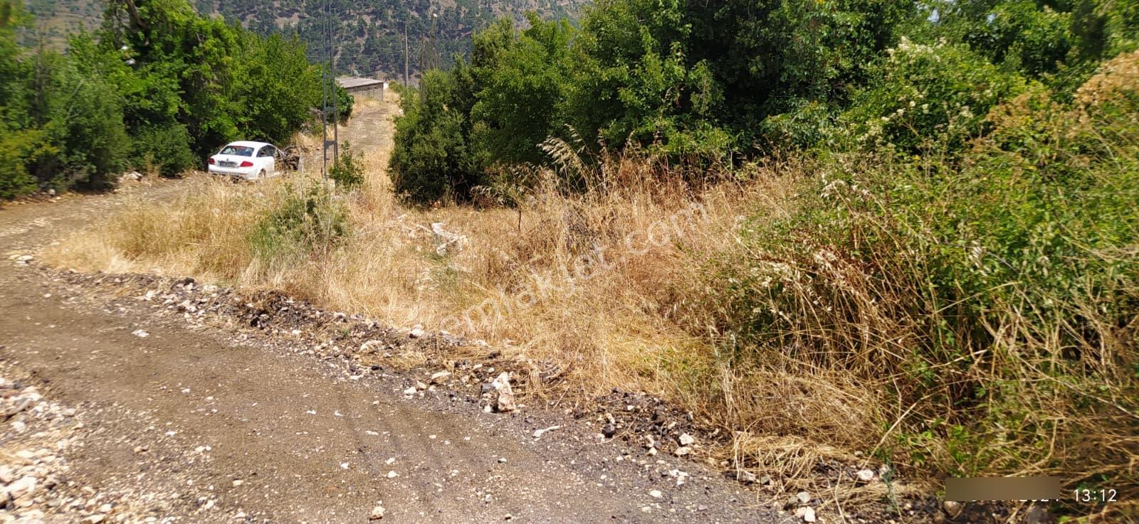 Mersin Mezitli Fındıkpınarı Yaylası'nda Çok Amaçlı Kullanılabilir Tarım Arazisi - Görsel 5