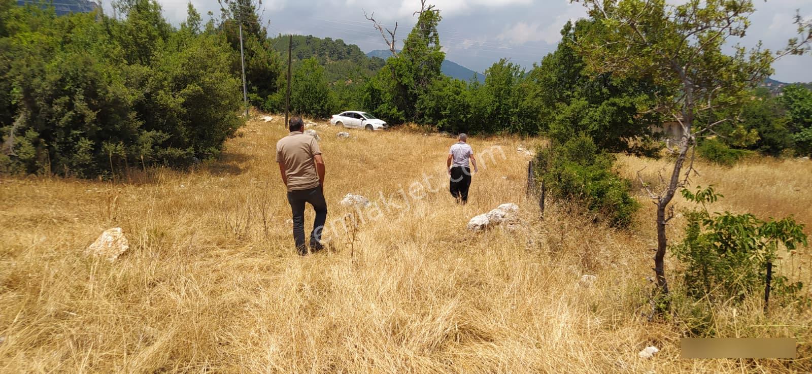 Mersin Mezitli Fındıkpınarı Yaylası'nda Çok Amaçlı Kullanılabilir Tarım Arazisi - Görsel 9