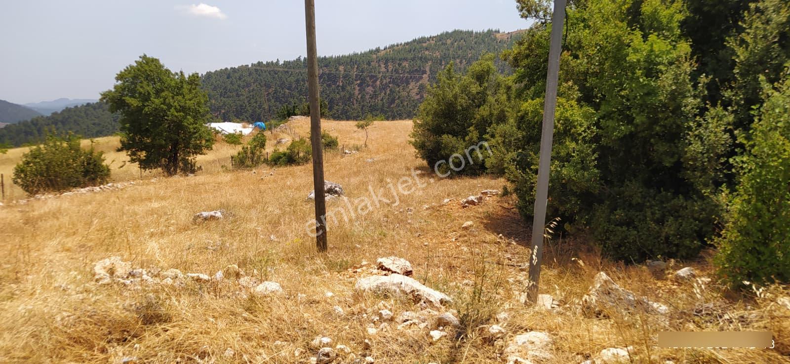 Mersin Mezitli Fındıkpınarı Yaylası'nda Çok Amaçlı Kullanılabilir Tarım Arazisi - Görsel 8