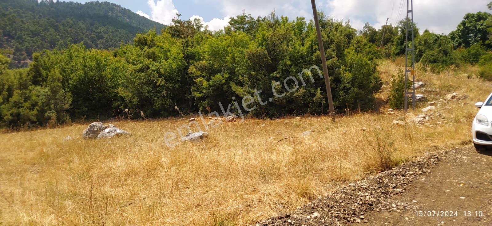 Mersin Mezitli Fındıkpınarı Yaylası'nda Çok Amaçlı Kullanılabilir Tarım Arazisi - Görsel 2