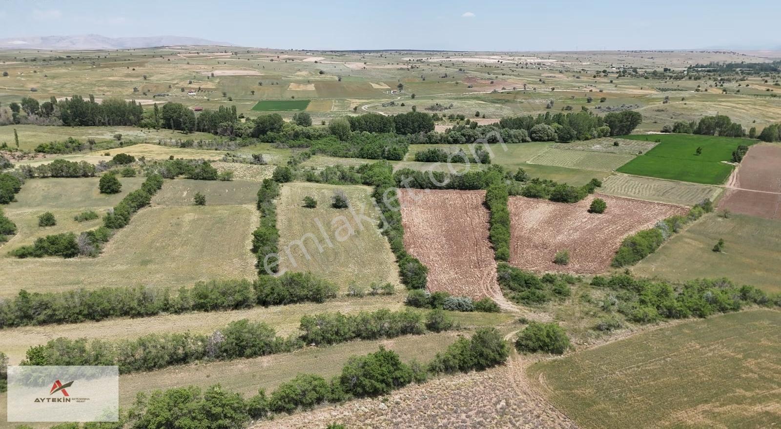Akören Tülce Mahallesinde 4.911 M² Müstakil Tapulu Tarla - Görsel 5