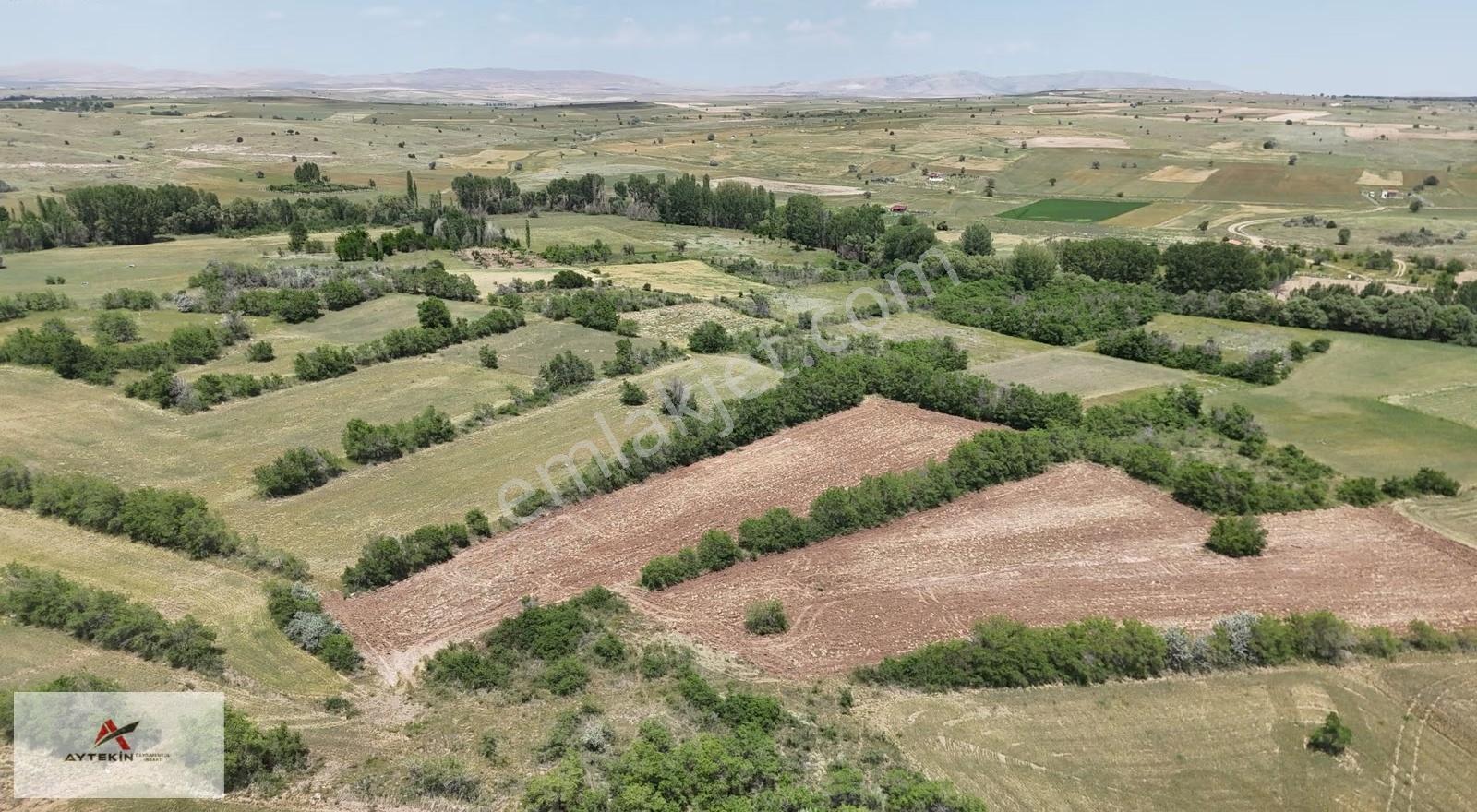 Akören Tülce Mahallesinde 4.911 M² Müstakil Tapulu Tarla