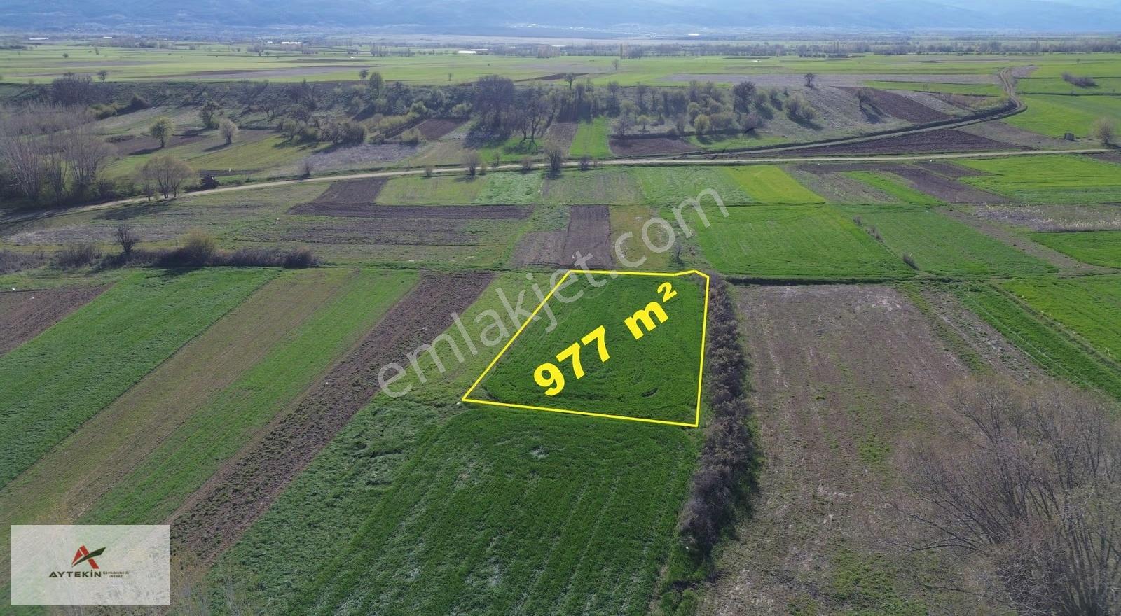 Doğanhisar Koçaş Mahallesinde 977 M² Müstakil Tapulu Tarla - Görsel 2