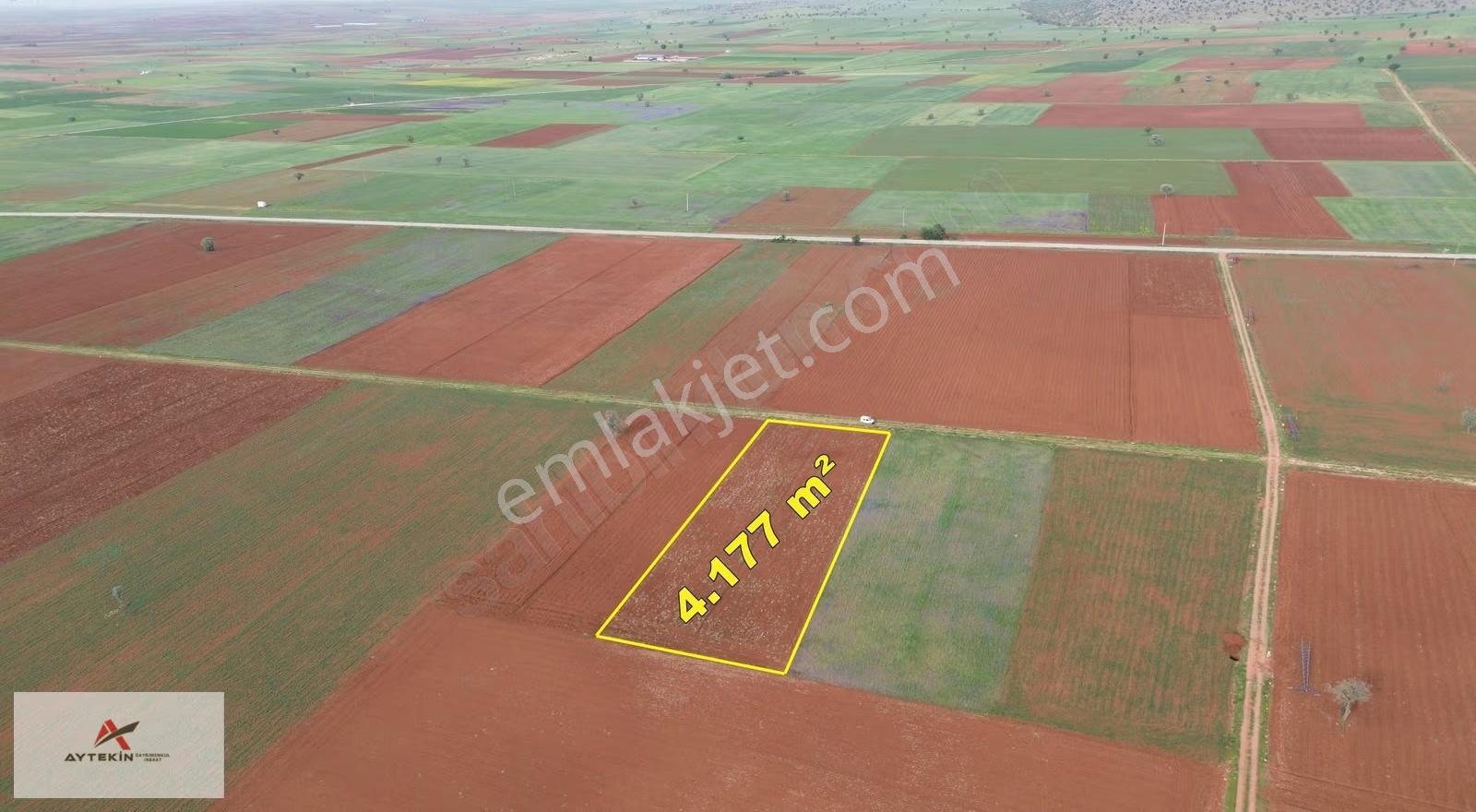 Akören Karahüyük Mahallesinde Yola Sıfır 4.177 M² Müstakil Tarla - Görsel 2