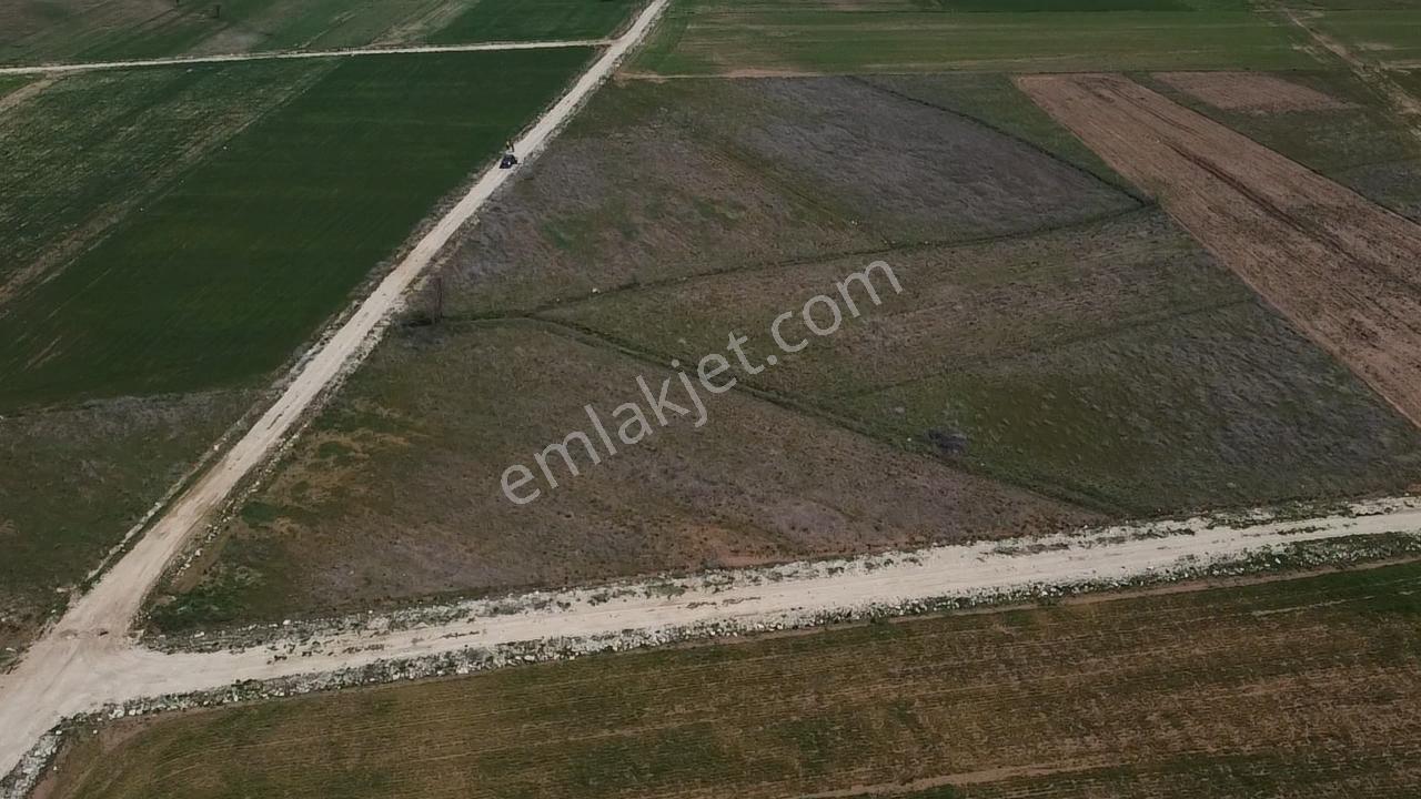 Uğurdan Y.ceylanda Çiftliğe Uygun Büyük Fırsat Arazi - Görsel 20