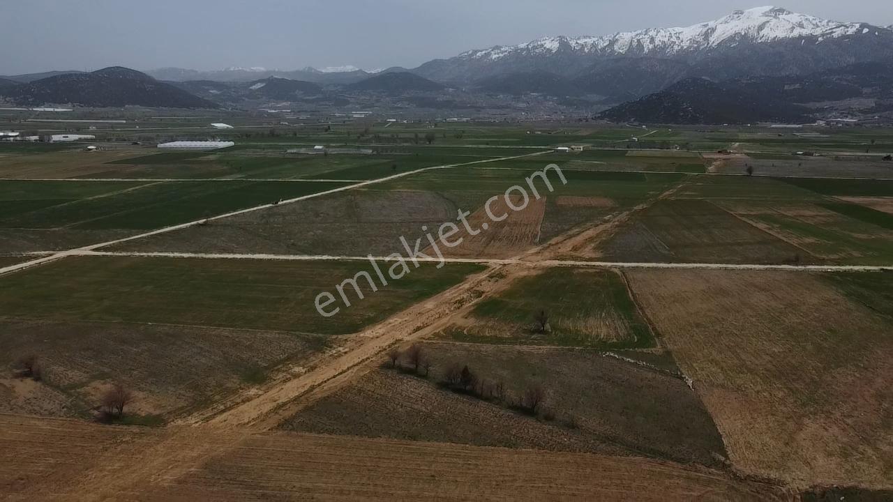 Uğurdan Y.ceylanda Çiftliğe Uygun Büyük Fırsat Arazi - Görsel 8