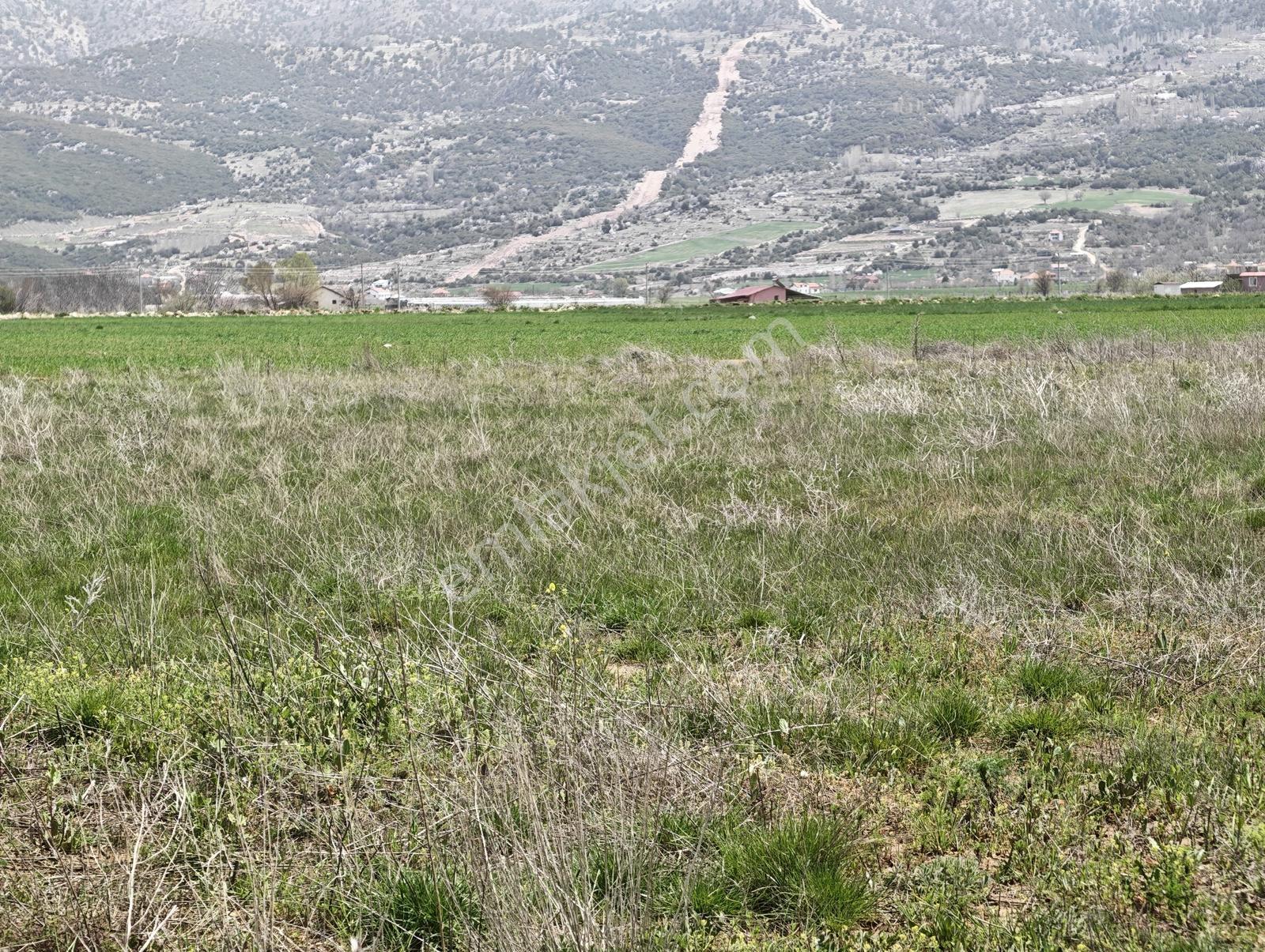 Uğurdan Y.ceylanda Çiftliğe Uygun Büyük Fırsat Arazi - Görsel 30