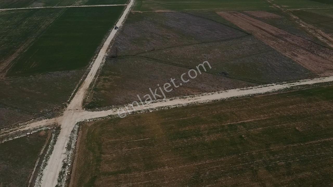 Uğurdan Y.ceylanda Çiftliğe Uygun Büyük Fırsat Arazi - Görsel 25
