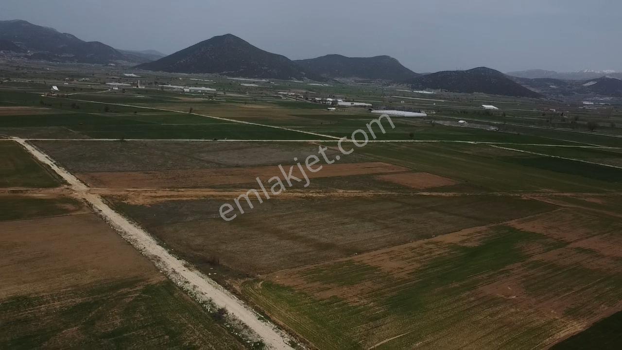 Uğurdan Y.ceylanda Çiftliğe Uygun Büyük Fırsat Arazi - Görsel 34