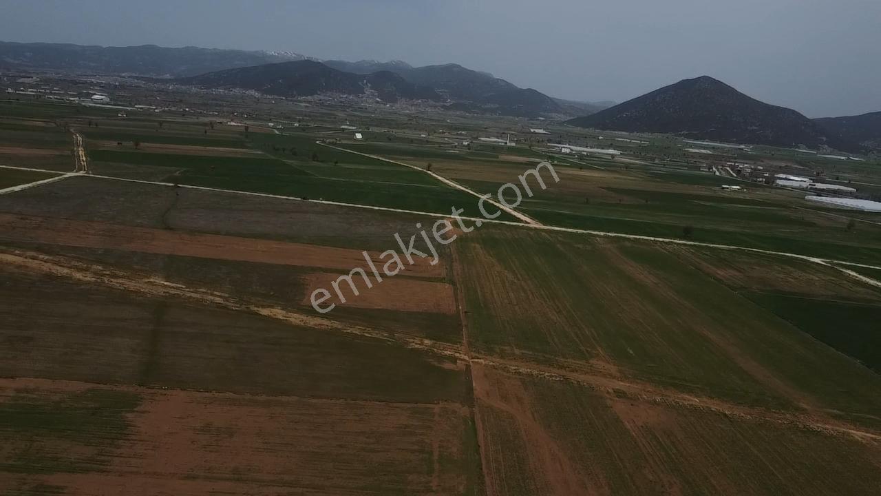Uğurdan Y.ceylanda Çiftliğe Uygun Büyük Fırsat Arazi - Görsel 5
