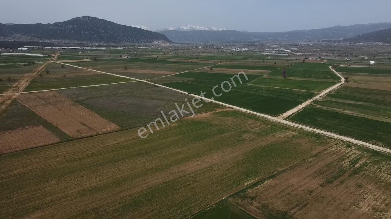 Uğurdan Y.ceylanda Çiftliğe Uygun Büyük Fırsat Arazi - Görsel 4