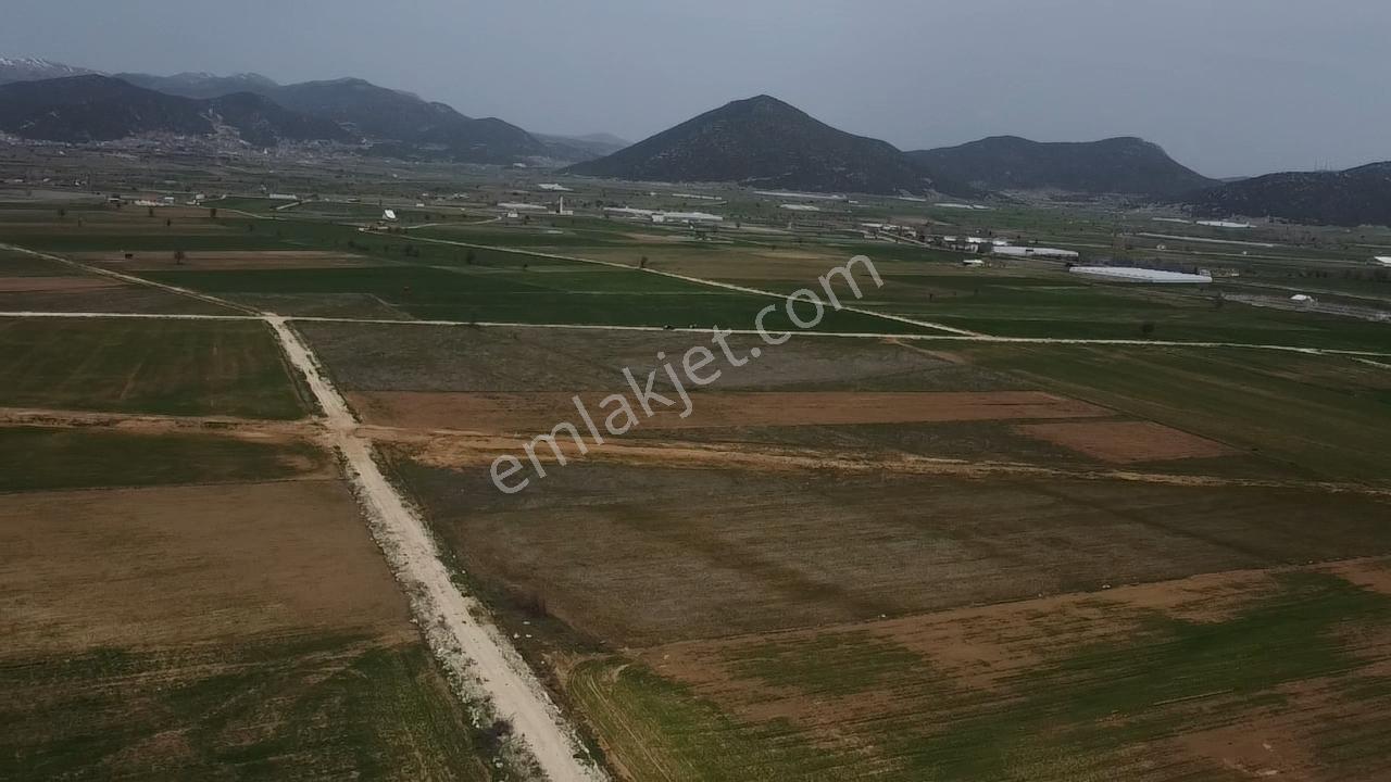 Uğurdan Y.ceylanda Çiftliğe Uygun Büyük Fırsat Arazi - Görsel 7