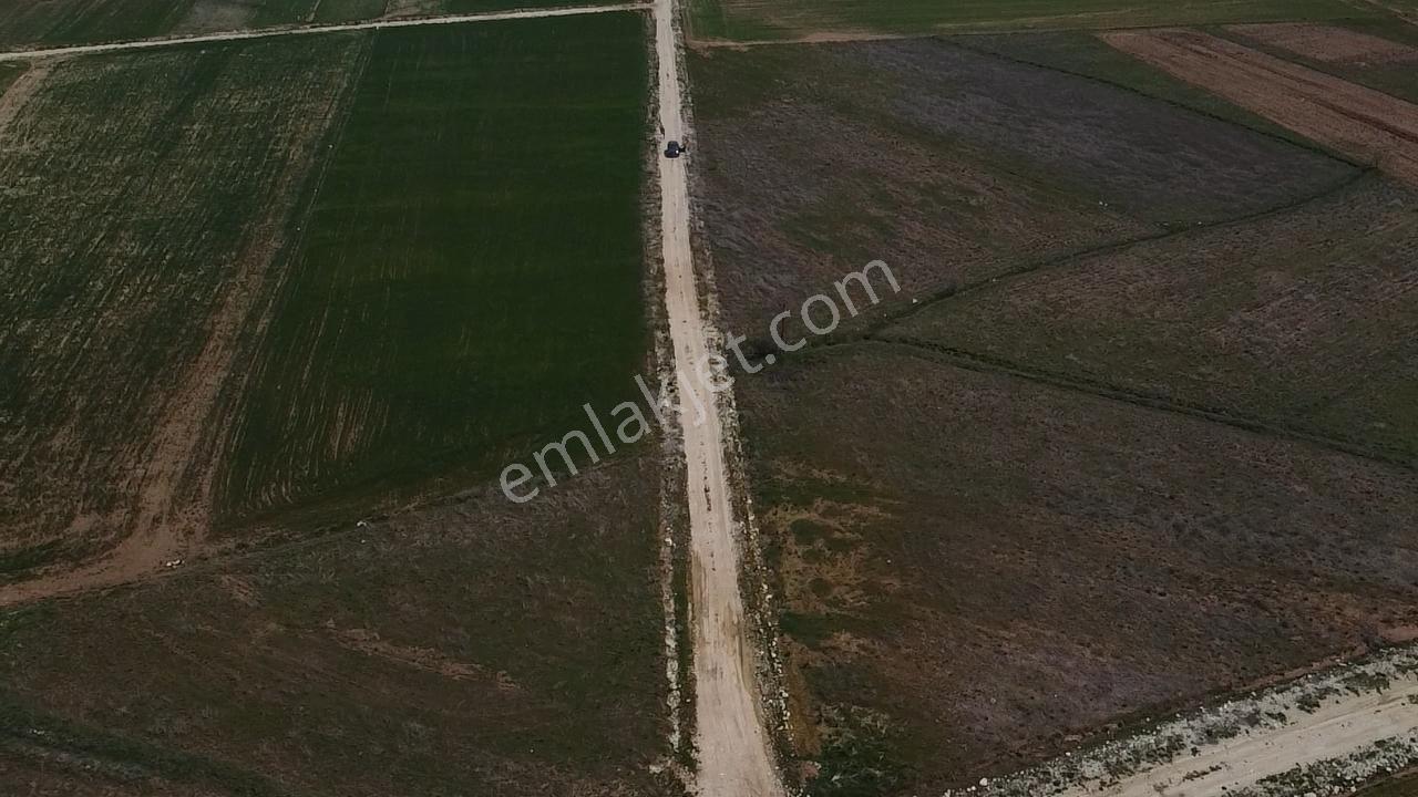 Uğurdan Y.ceylanda Çiftliğe Uygun Büyük Fırsat Arazi - Görsel 26
