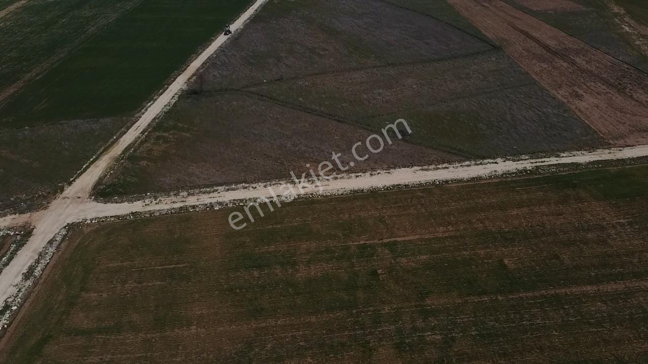Uğurdan Y.ceylanda Çiftliğe Uygun Büyük Fırsat Arazi - Görsel 19