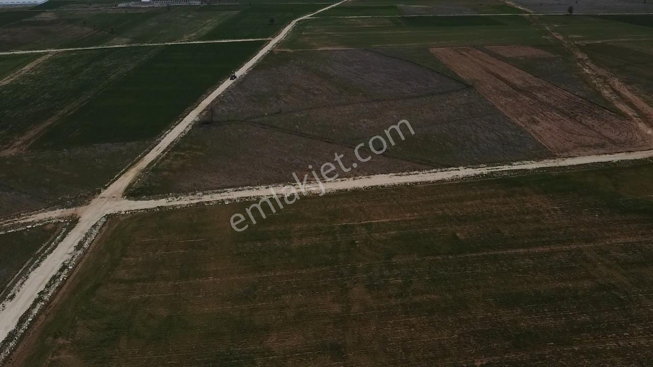 Uğurdan Y.ceylanda Çiftliğe Uygun Büyük Fırsat Arazi - Görsel 14