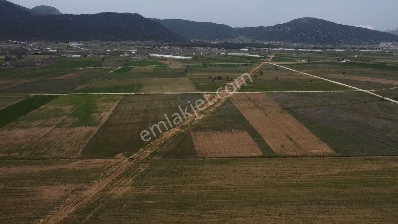 Uğurdan Y.ceylanda Çiftliğe Uygun Büyük Fırsat Arazi - Görsel 2