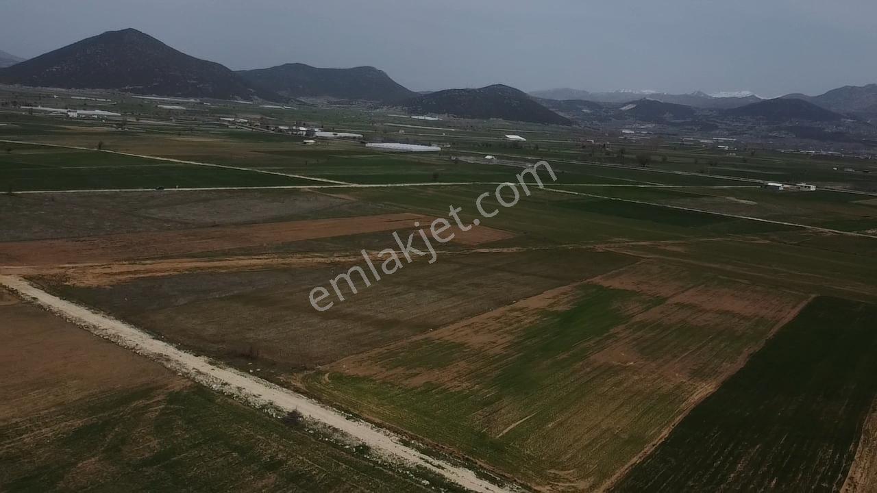 Uğurdan Y.ceylanda Çiftliğe Uygun Büyük Fırsat Arazi - Görsel 10