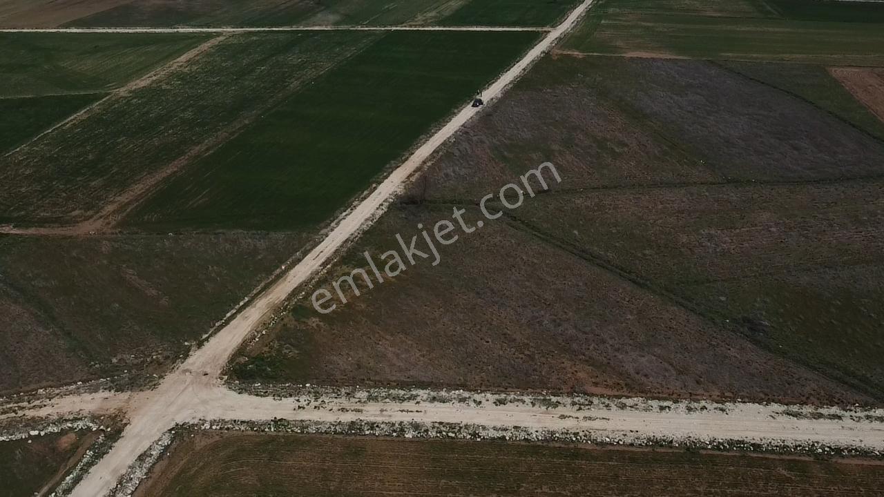 Uğurdan Y.ceylanda Çiftliğe Uygun Büyük Fırsat Arazi - Görsel 23