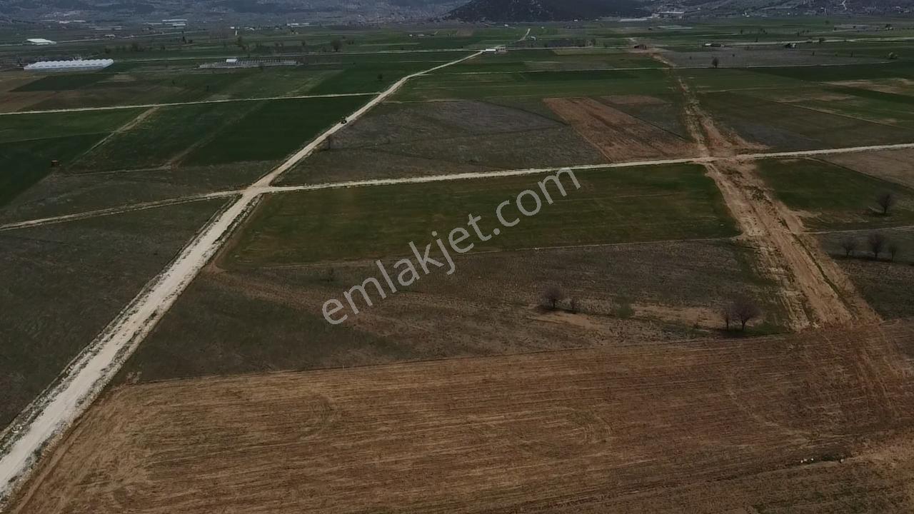 Uğurdan Y.ceylanda Çiftliğe Uygun Büyük Fırsat Arazi - Görsel 15