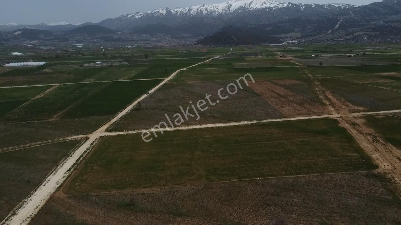 Uğurdan Y.ceylanda Çiftliğe Uygun Büyük Fırsat Arazi - Görsel 18