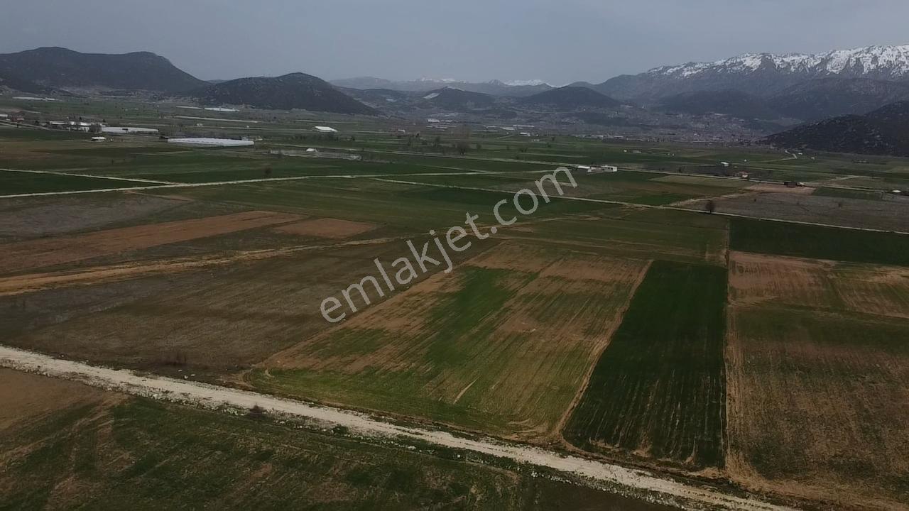 Uğurdan Y.ceylanda Çiftliğe Uygun Büyük Fırsat Arazi - Görsel 11