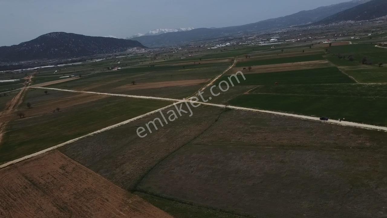 Uğurdan Y.ceylanda Çiftliğe Uygun Büyük Fırsat Arazi - Görsel 33