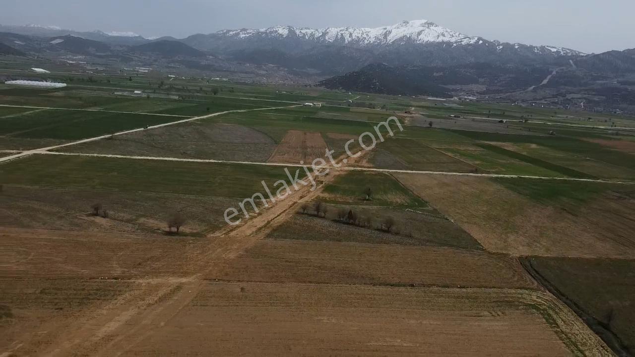 Uğurdan Y.ceylanda Çiftliğe Uygun Büyük Fırsat Arazi - Görsel 17