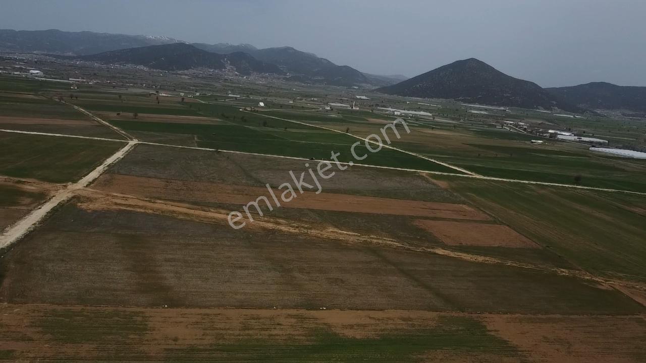 Uğurdan Y.ceylanda Çiftliğe Uygun Büyük Fırsat Arazi - Görsel 35