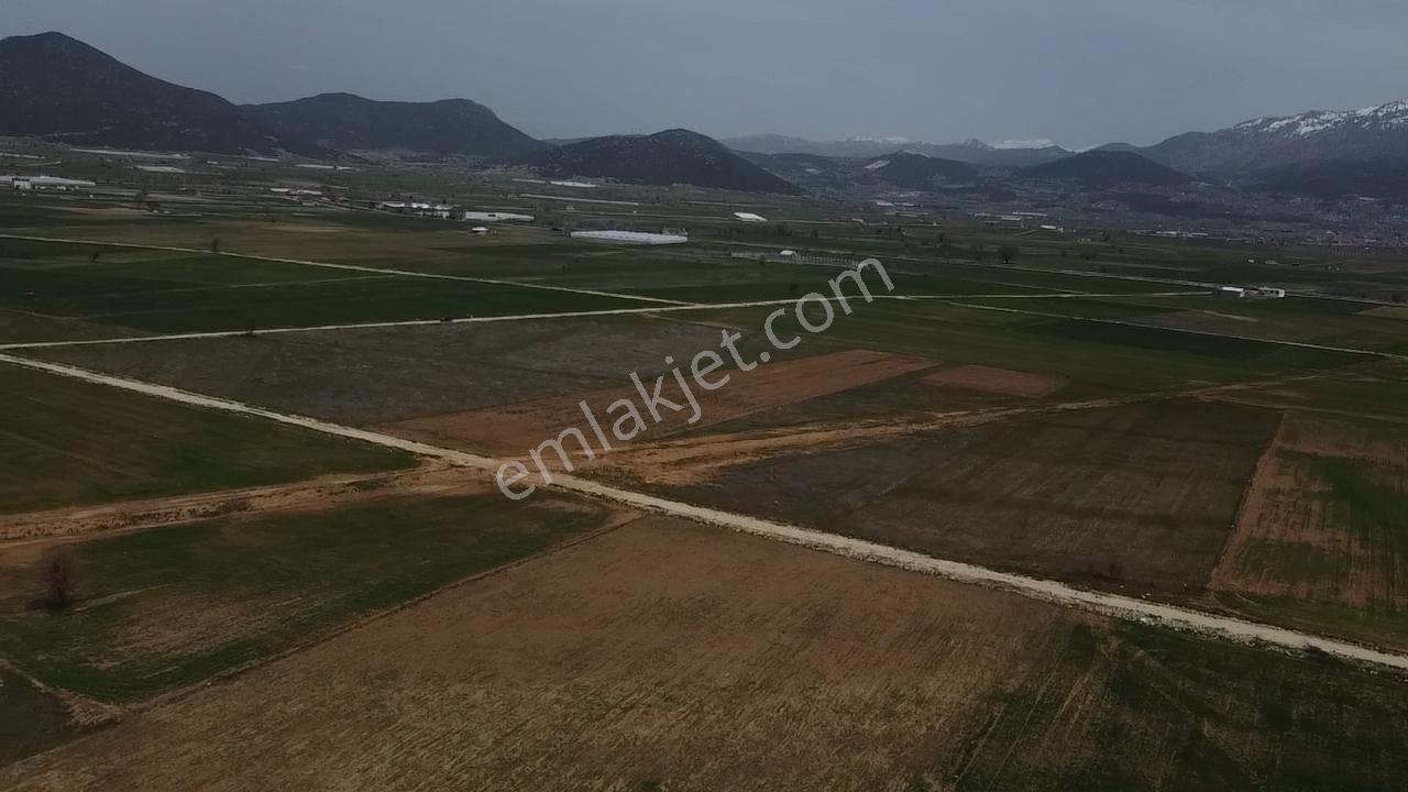 Uğurdan Y.ceylanda Çiftliğe Uygun Büyük Fırsat Arazi - Görsel 9
