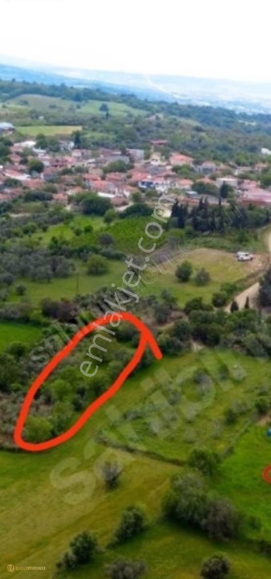 Çanakkale Lapseki Kangırlı 'da Satılık Yatırımlık Bağ/tarla - Görsel 6