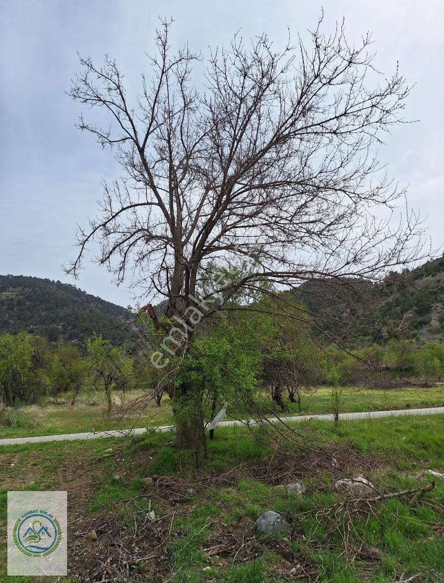 Asfalta Cephe,kadastrol Yola Cephe,nehre Cephe,damlama Su İmkanı - Görsel 11