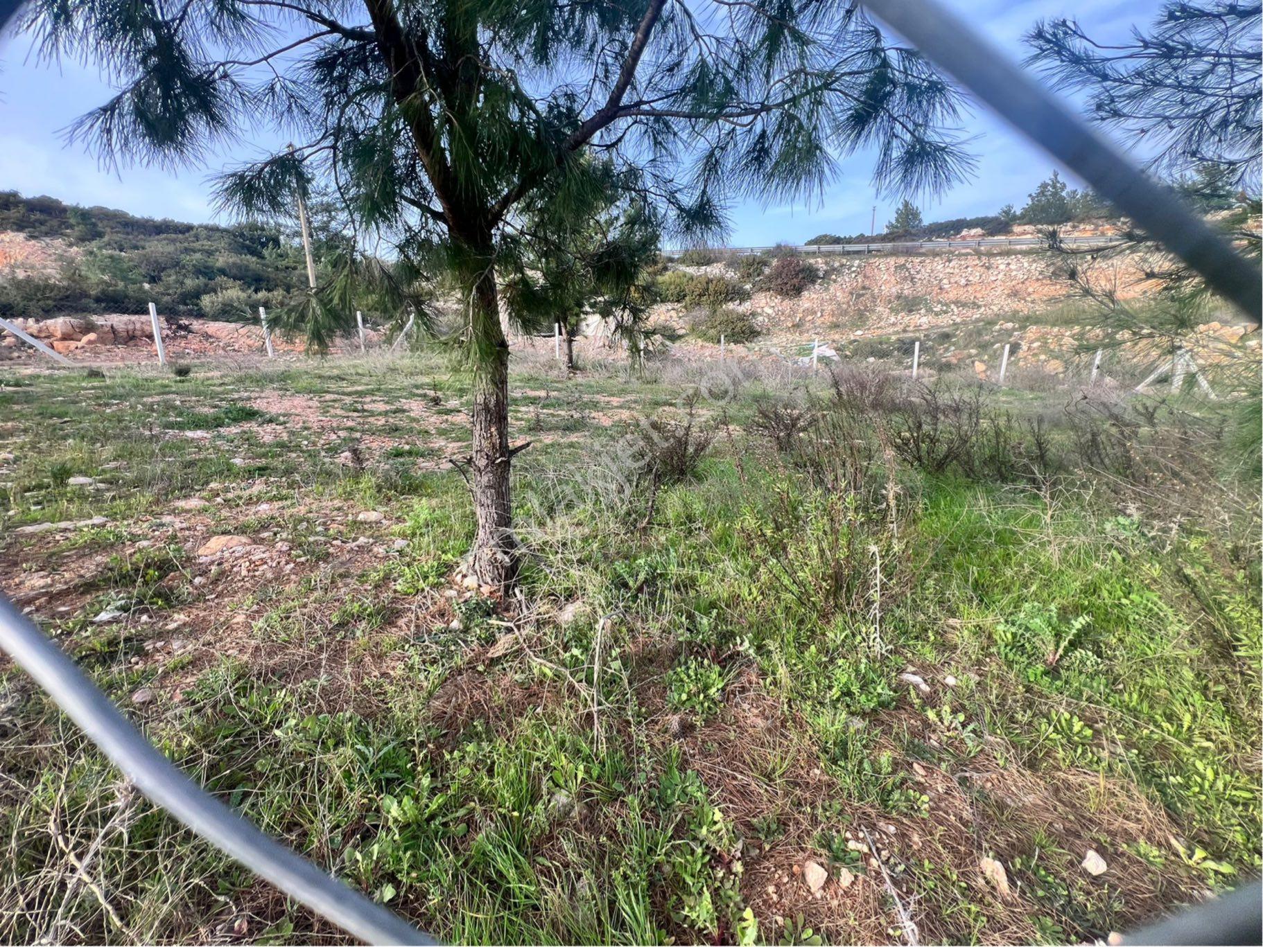 Didim Seyrantepe'de 562 M2 Tam Müstakil Arsa - Görsel 5