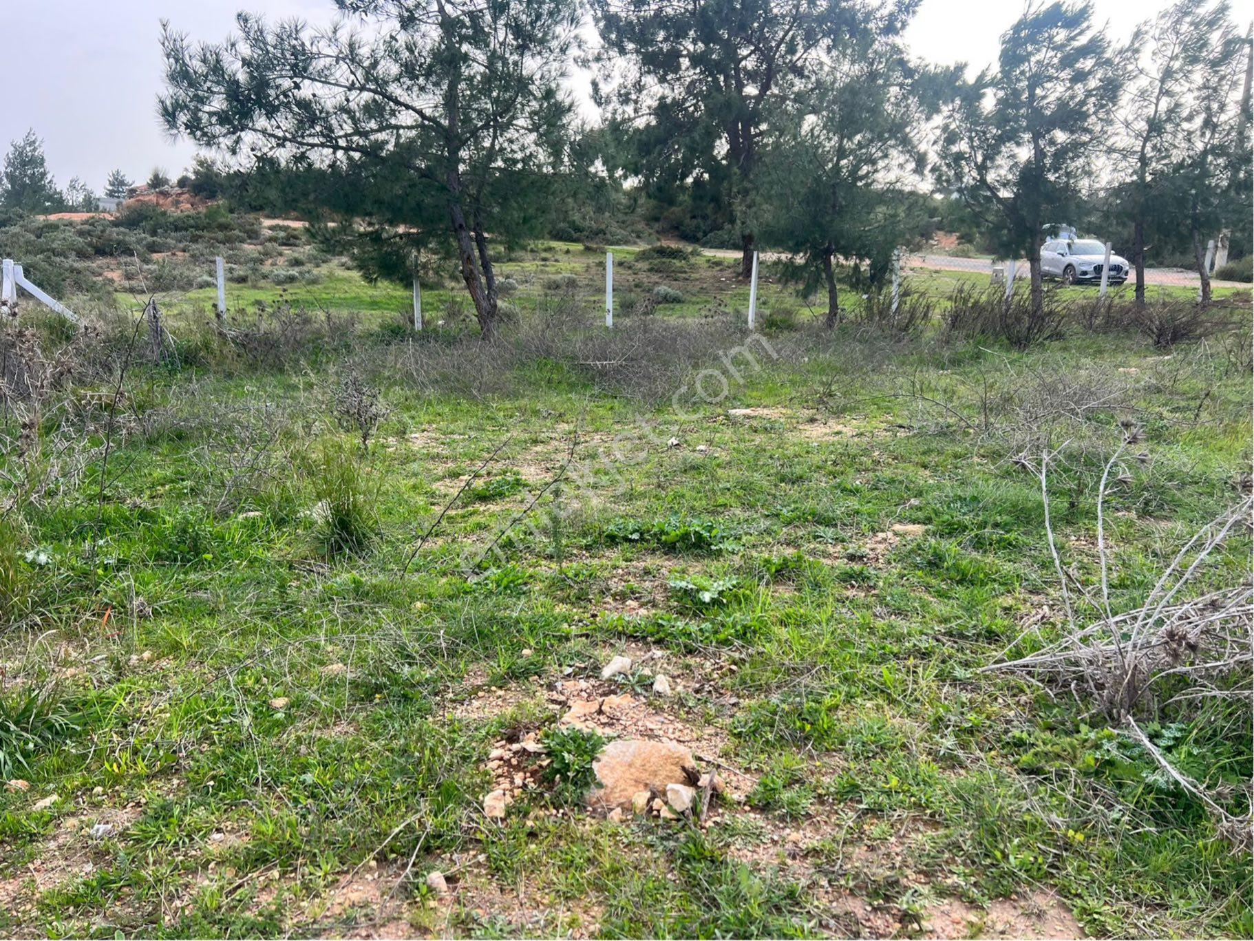 Didim Seyrantepe'de 562 M2 Tam Müstakil Arsa - Görsel 16