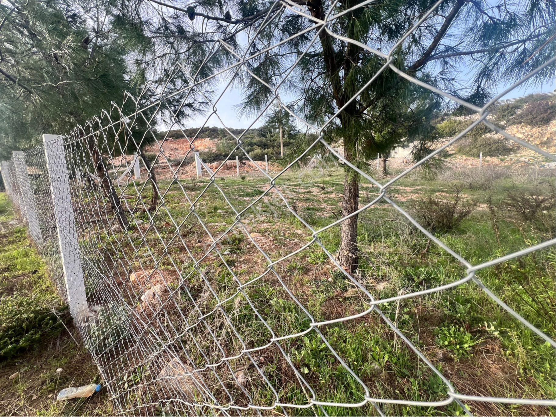 Didim Seyrantepe'de 562 M2 Tam Müstakil Arsa