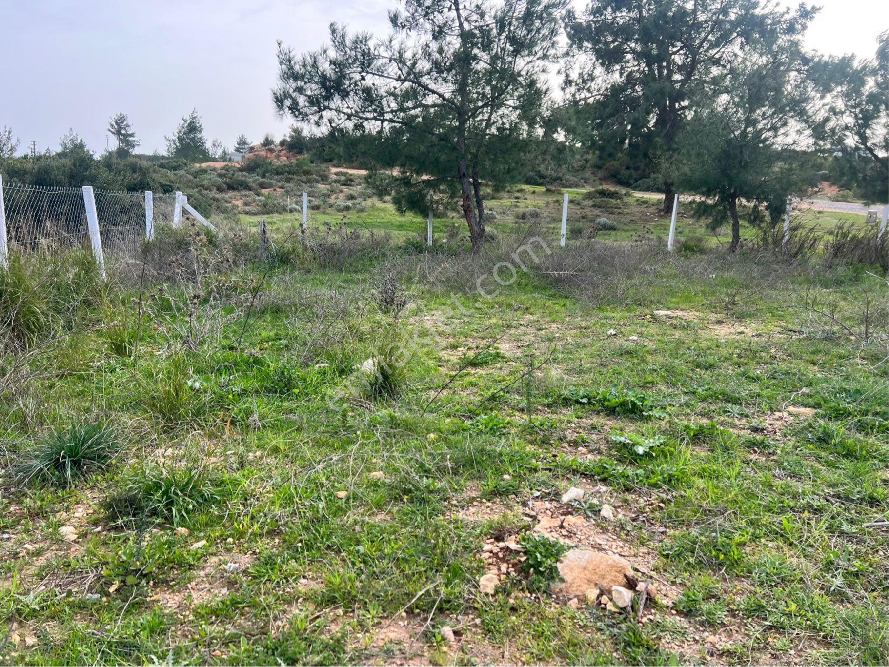 Didim Seyrantepe'de 562 M2 Tam Müstakil Arsa - Görsel 11