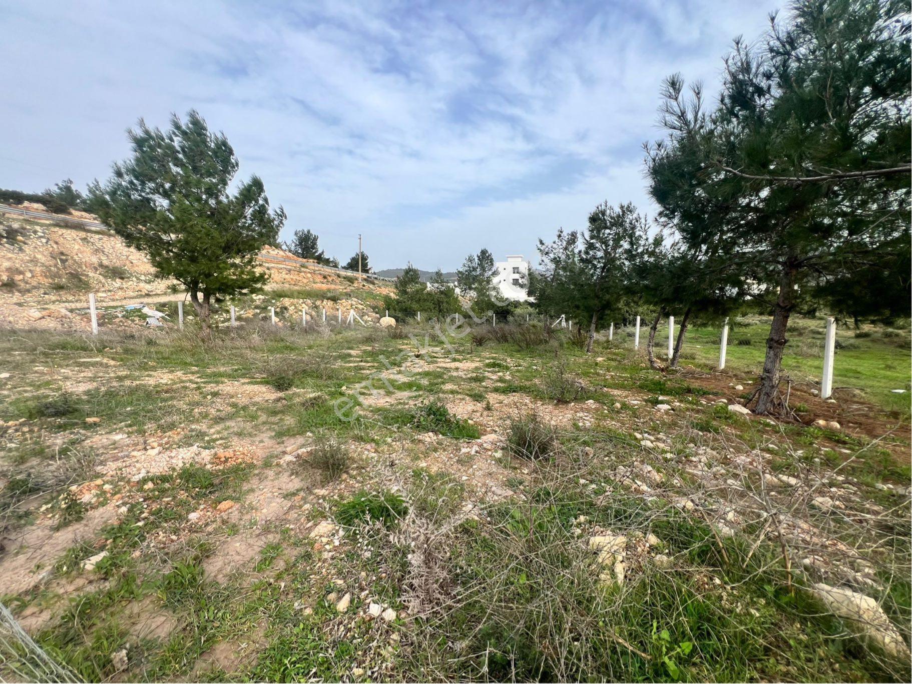 Didim Seyrantepe'de 562 M2 Tam Müstakil Arsa - Görsel 14