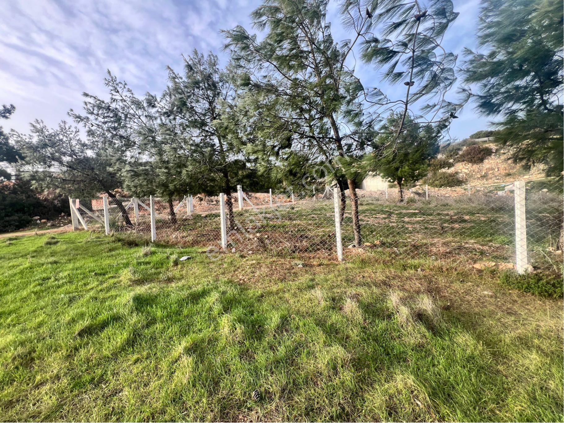 Didim Seyrantepe'de 562 M2 Tam Müstakil Arsa - Görsel 2