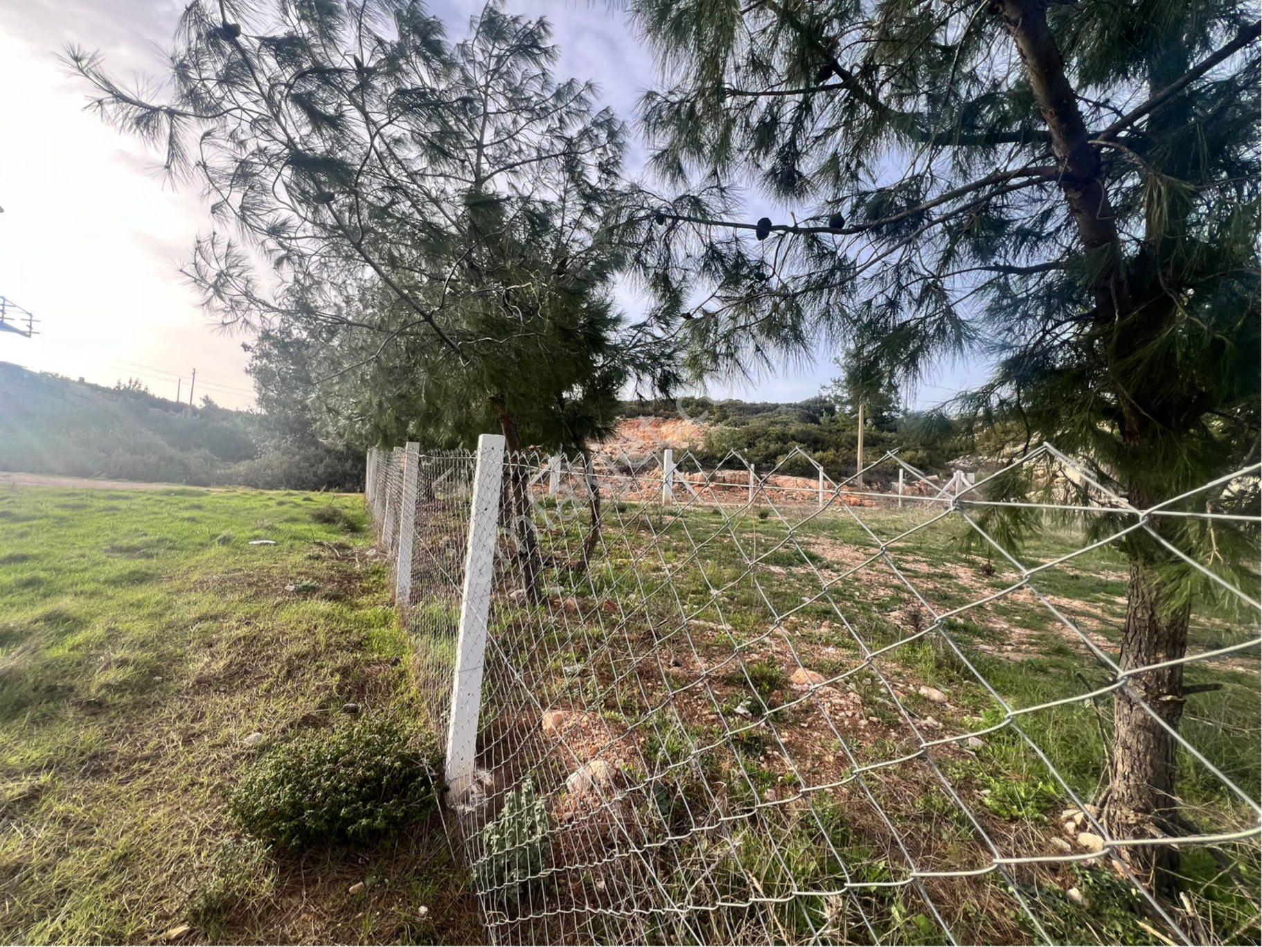 Didim Seyrantepe'de 562 M2 Tam Müstakil Arsa - Görsel 12