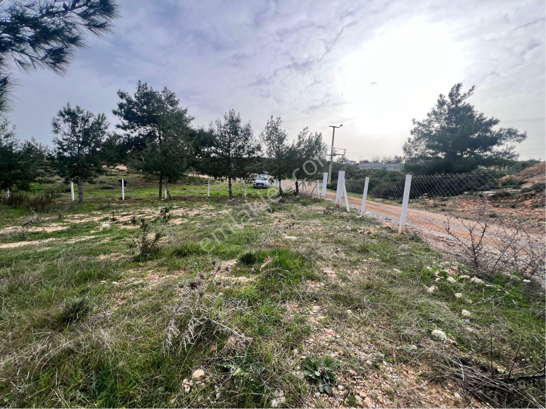 Didim Seyrantepe'de 562 M2 Tam Müstakil Arsa - Görsel 15