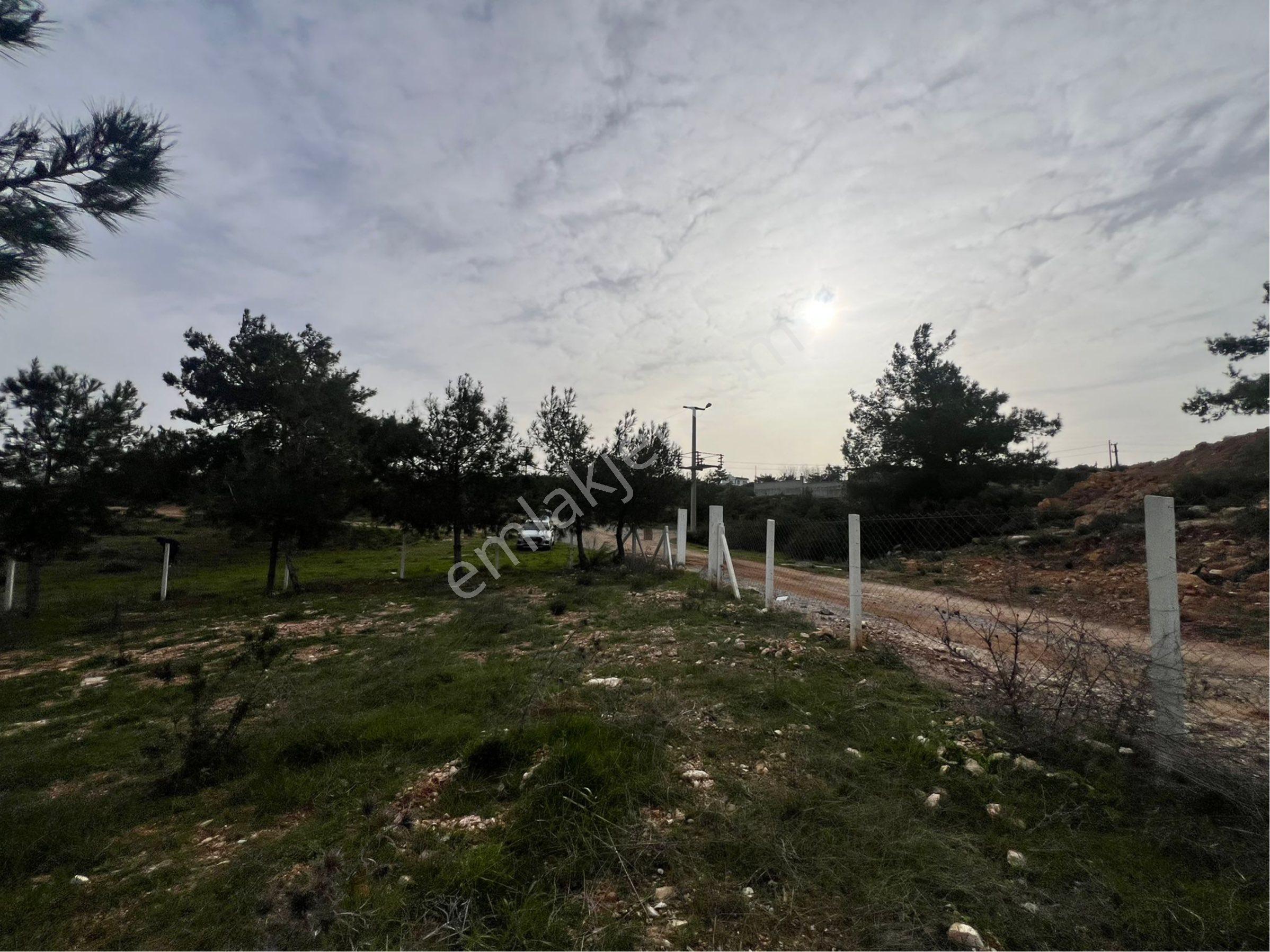 Didim Seyrantepe'de 562 M2 Tam Müstakil Arsa - Görsel 13